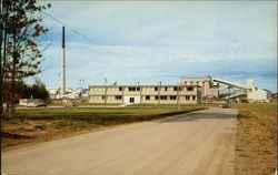 White Pine Copper Company Postcard