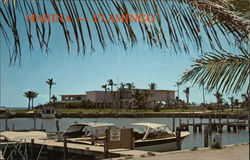 Marina - Flamingo Florida Postcard Postcard