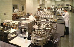 Stock #430890 Thumbnail