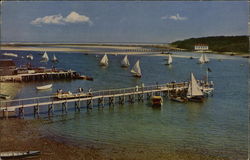 Sailing Races at Stage Harbor Postcard