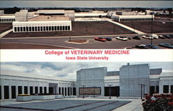 Iowa State University - College of Veterinary Medicine Ames, IA Postcard Postcard