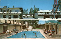 Three Bear Motor Lodge & Restaurant West Yellowstone, MT Postcard Postcard