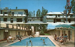 Three Bear Motor Lodge & Restaurant Postcard