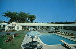 Salt Meadow Motel Postcard