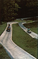 Alpine Slide Postcard