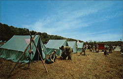 Dan Beard Council Camps Boy Scouts Postcard 