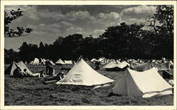 Camping Fields - Gilwell Park Postcard