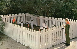 British Cemetery Postcard