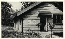 Barnacle Hospital - Gilwell Park Postcard