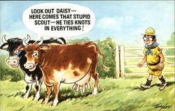 Look Out Daisy - Here Comes That Stupid Scout - He Ties Knots in Everything! Postcard