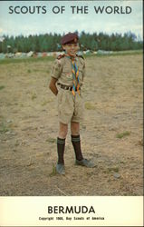 Scouts of the World: Bermuda Postcard