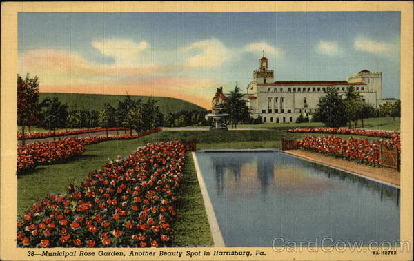 Municipal Rose Gardens - Another Beautiful Spot Harrisburg Pennsylvania
