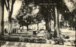 Upper Common Postcard