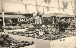 Danbury Fair - Fruit Exhibit Connecticut Postcard Postcard