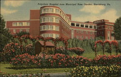 Polyclinic Hospital from Municipal Rose Garden Postcard