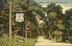 Entrance to Elizabeth Furnace Forest Camp Millboro, VA Postcard Postcard