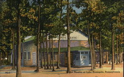 The Grove Theatre, Lake Nuangola Postcard