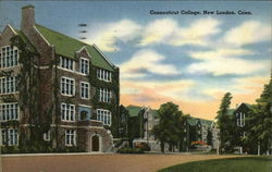 Connecticut College and Grounds Postcard