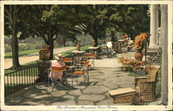 The Mountain View House - The Terrace Postcard