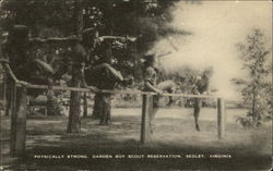 Stock #432618 Thumbnail