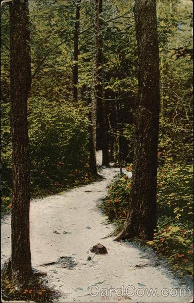 Scenic Path in Wildwood Park Harrisburg Pennsylvania