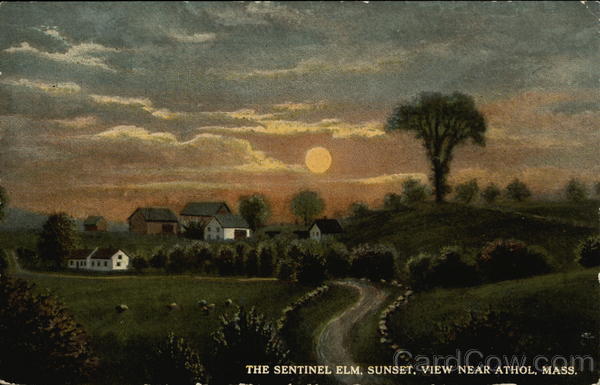 The Sentinel Elm, Sunset Athol Massachusetts