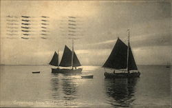 Greetings From Wildwood Postcard