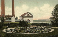 Lily Pond at the Waterworks Postcard