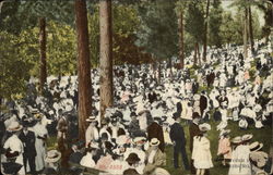 Stock #432924 Thumbnail