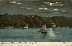 A Scene in Wildwood Park Postcard