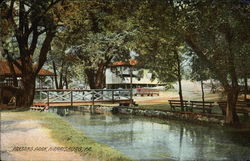 Scenic View in Paxtang Park Postcard