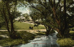 Stock #432984 Thumbnail