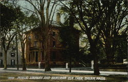 Public Library and Bertram Elm Tree Salem, MA Postcard Postcard