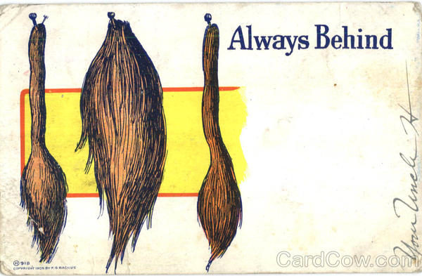 Always Behind Horses