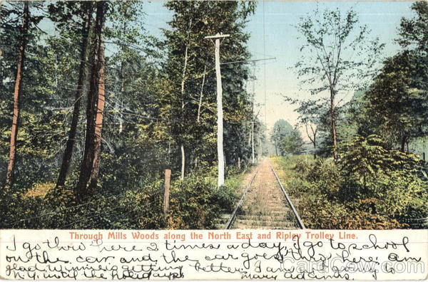 Through Mills Woods Railroad (Scenic)