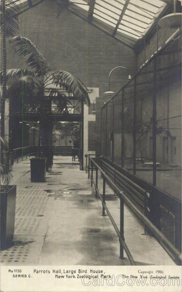 Parrots Hall, New York Zoological Park Birds