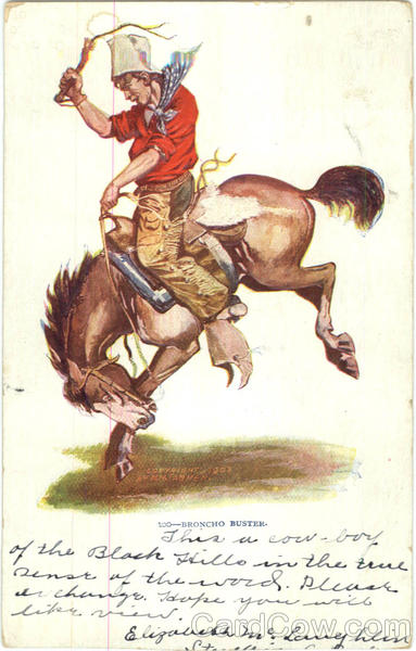 Broncho Buster Rodeos