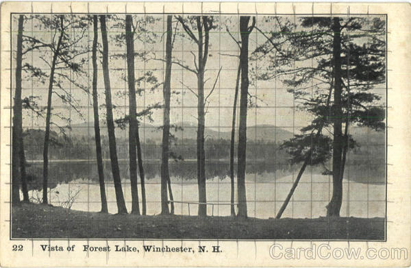 Vista Of Forest Lake Winchester New Hampshire