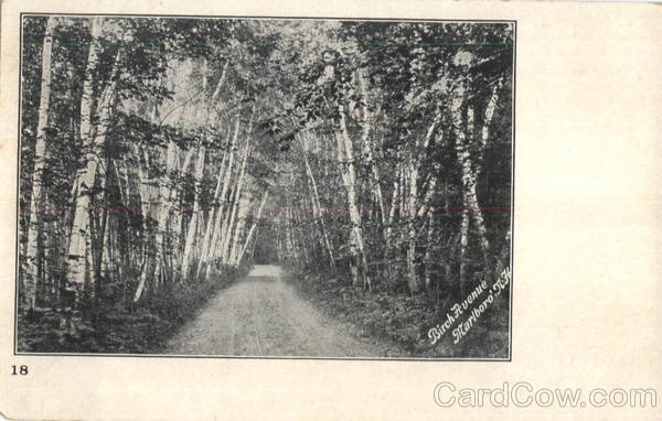 Birch Avenue Marlborough New Hampshire