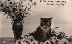 A Birthday Greeting Cats Postcard Postcard