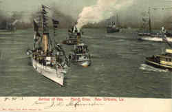 Arrival Of Rex Postcard
