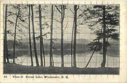 Vista Of Forest Lake Postcard