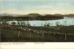 Greetings From Wolfeboro New Hampshire Postcard Postcard