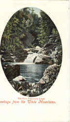 Greetings From White Mountains Postcard