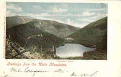 Greetings From The White Mountains Postcard