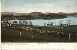 Greetings From Walfeboro Greetings From Walfeboro