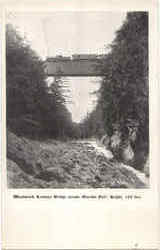 Woodstock Railway Postcard