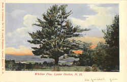 Whittier Pine Center Harbor, NH Postcard Postcard
