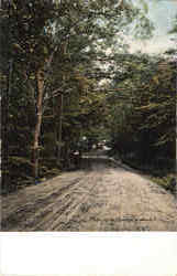 Mass In The Manchester Woods Scenic, MA Postcard Postcard