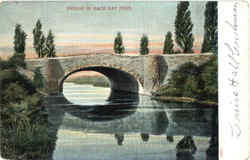 Bridge In Back Bay Fens Postcard